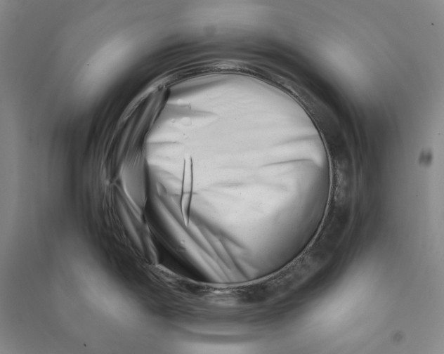 X0000090881198200708171639