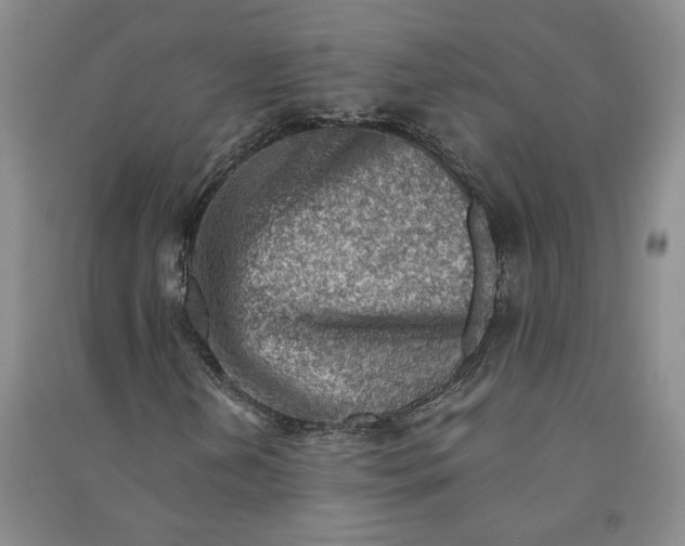 X0000090881202200708171639