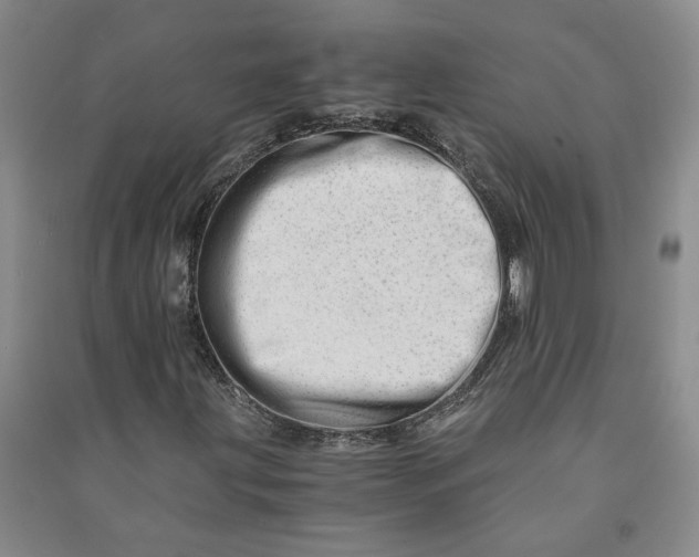 X0000090881203200708171639