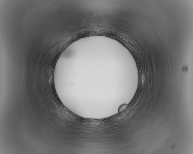 X0000090881204200708171639