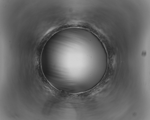 X0000090881206200708171639