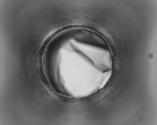 X0000090881208200708171639