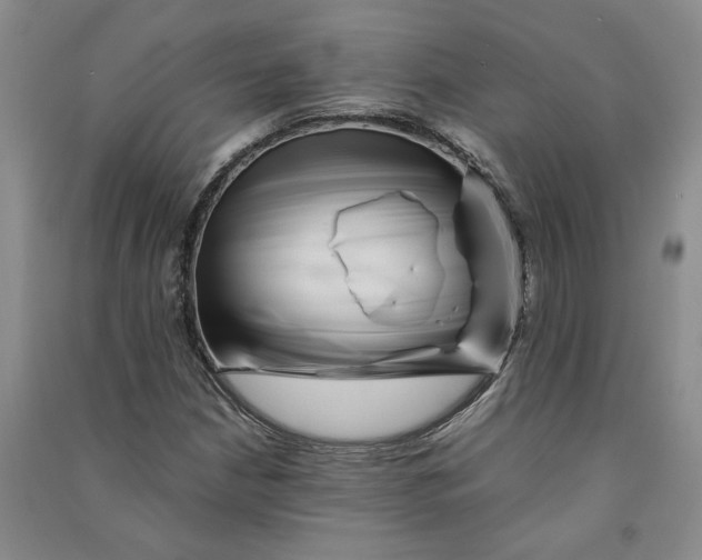 X0000090881210200708171639