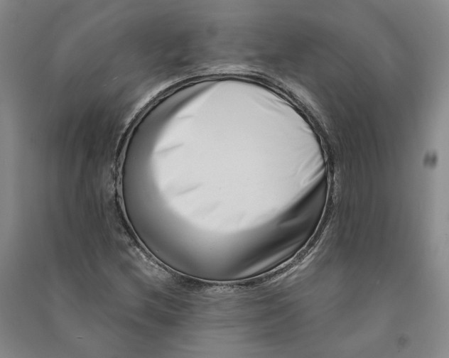 X0000090881212200708171639