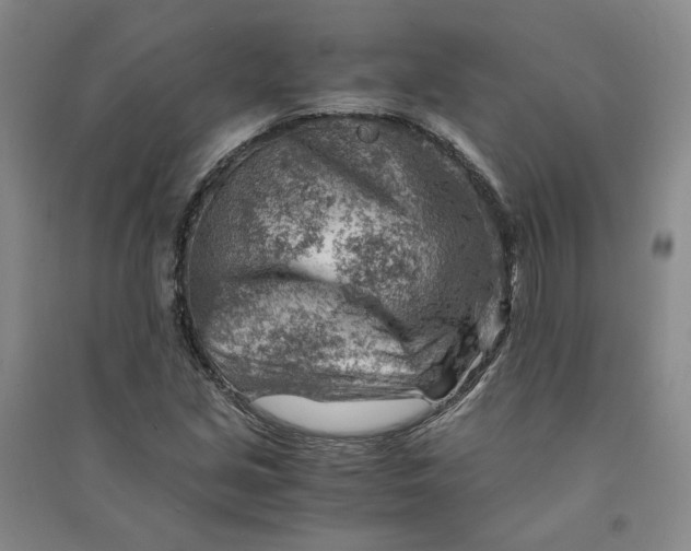X0000090881213200708171639