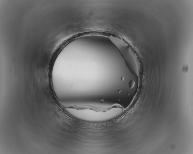 X0000090881214200708171639