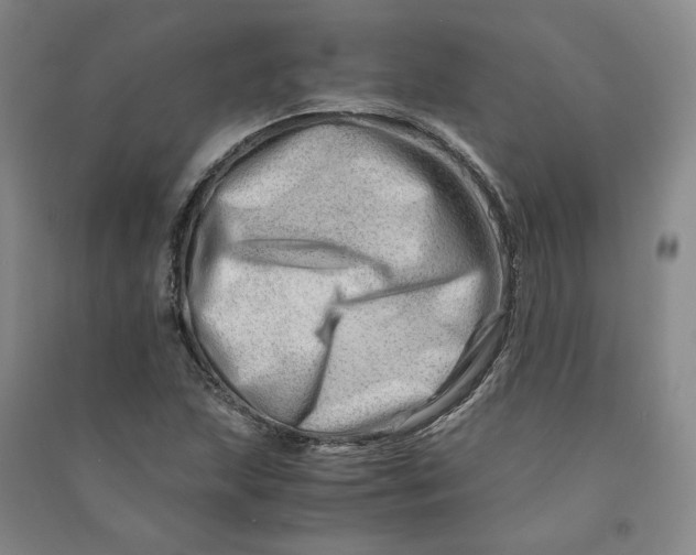 X0000090881215200708171639