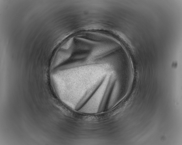 X0000090881217200708171639