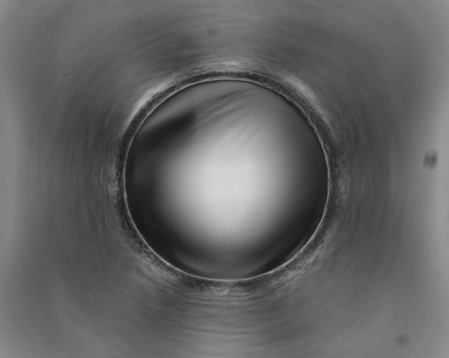 X0000090881218200708171639