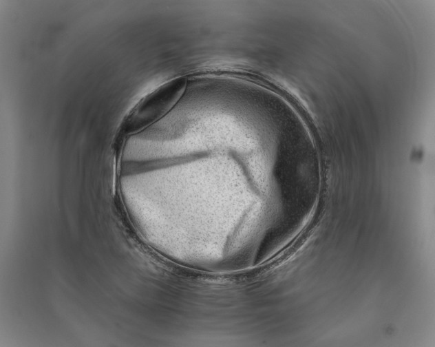 X0000090881219200708171639