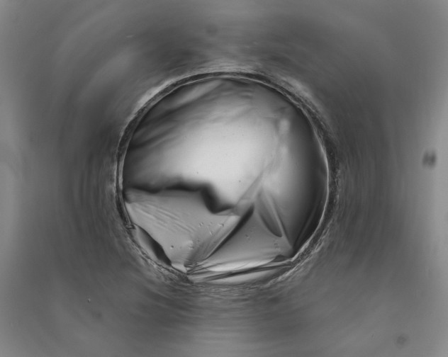 X0000090881220200708171639