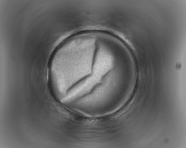X0000090881221200708171639