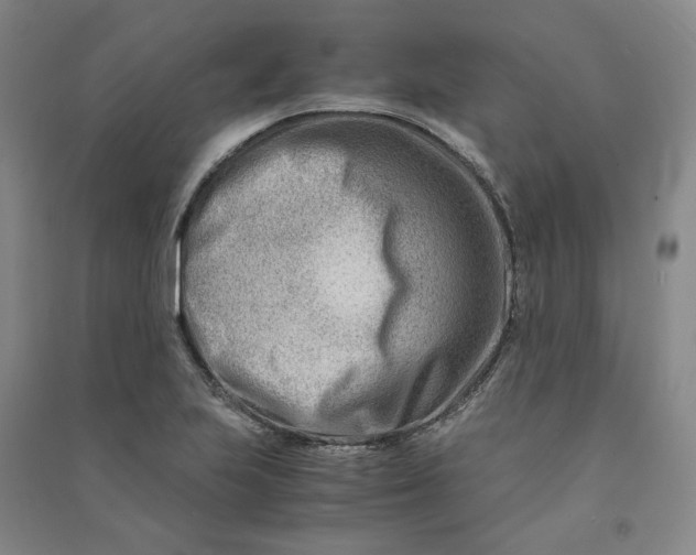 X0000090881223200708171639