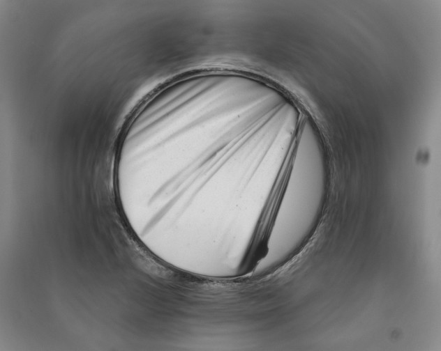 X0000090881224200708171639