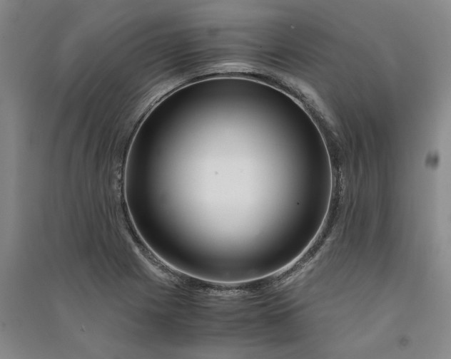 X0000090881225200708171639