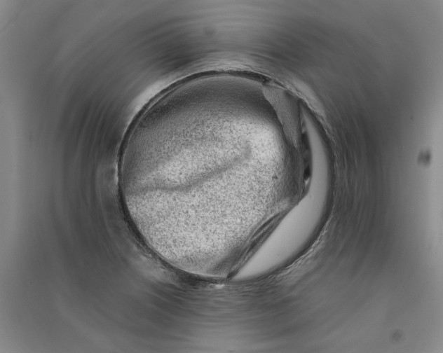 X0000090881226200708171639