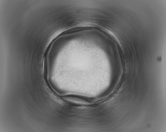 X0000090881227200708171639