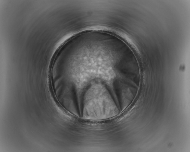 X0000090881229200708171639