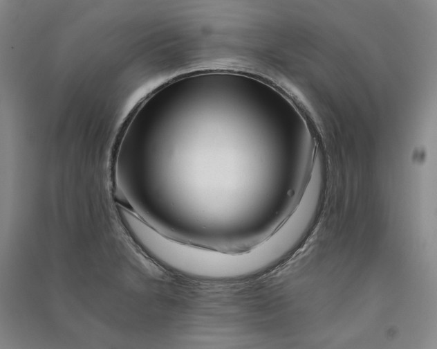 X0000090881230200708171639