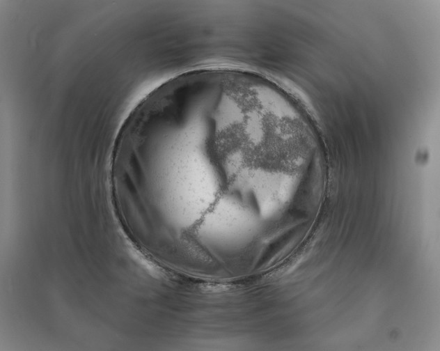 X0000090881231200708171639