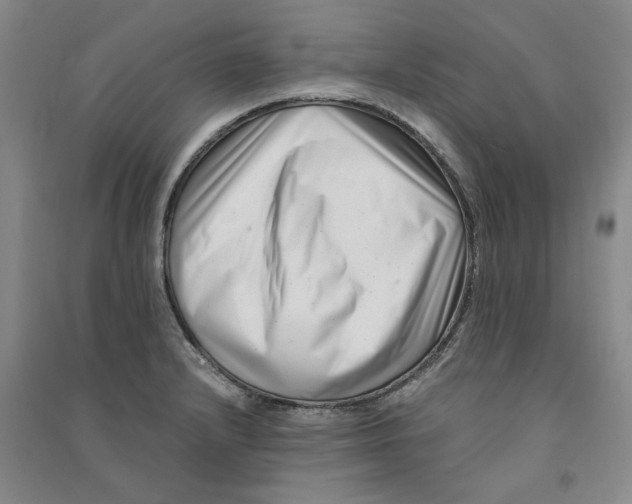 X0000090881232200708171639