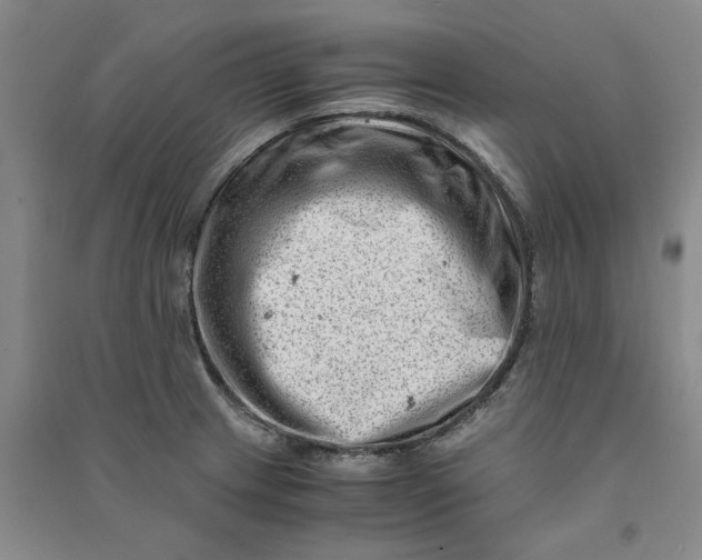 X0000090881233200708171639