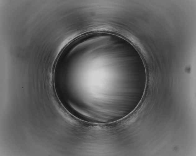 X0000090881234200708171639