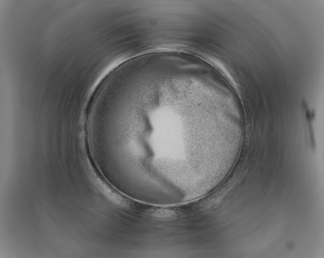 X0000090881235200708171639