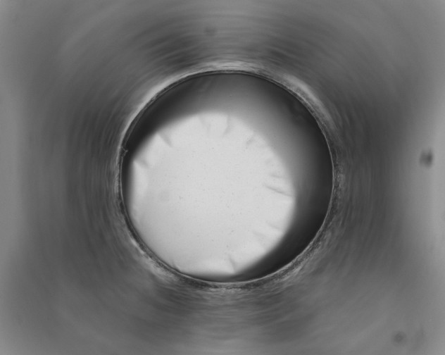 X0000090881236200708171639