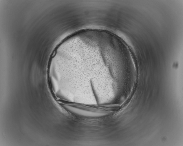 X0000090881237200708171639
