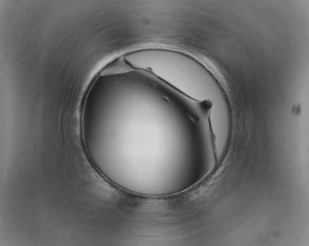 X0000090881238200708171639