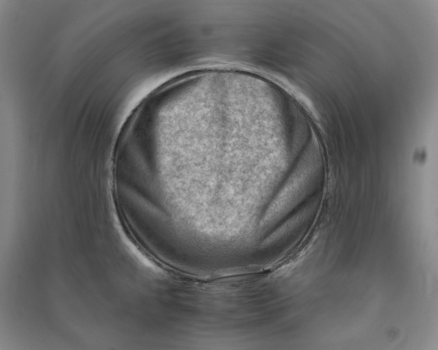 X0000090881239200708171639