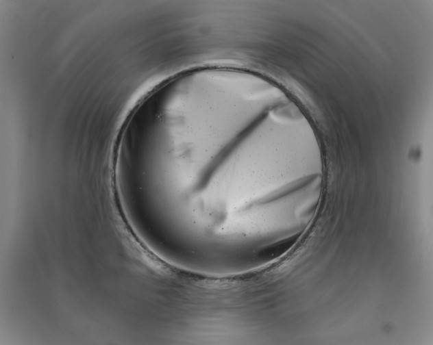 X0000090881240200708171639