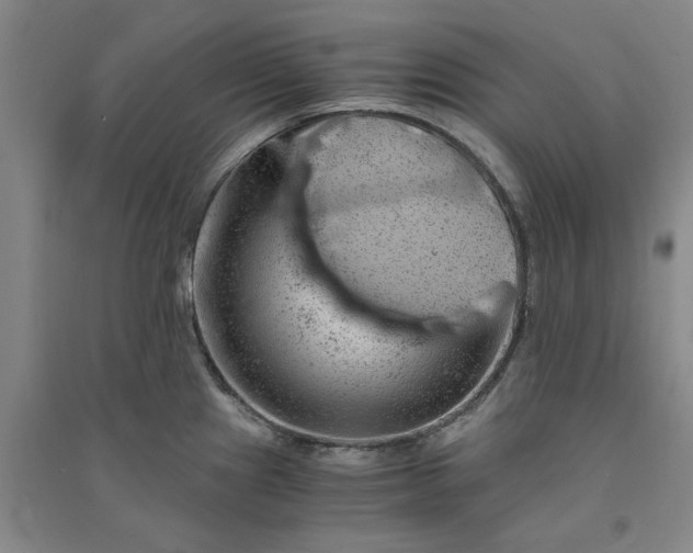 X0000090881241200708171639