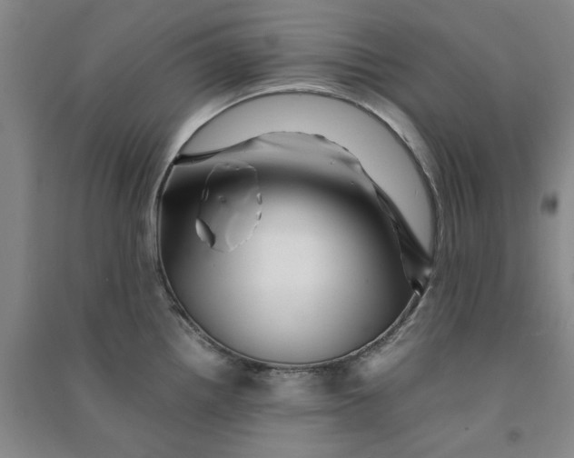 X0000090881242200708171639
