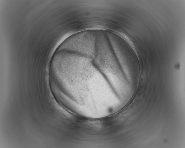 X0000090881243200708171639