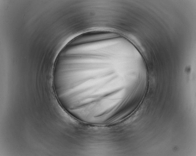 X0000090881244200708171639