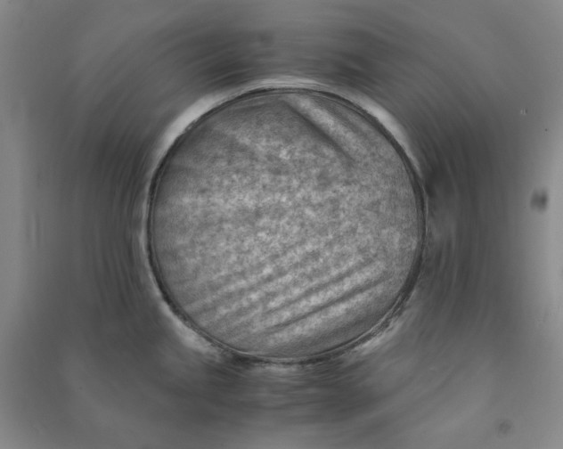 X0000090881245200708171639