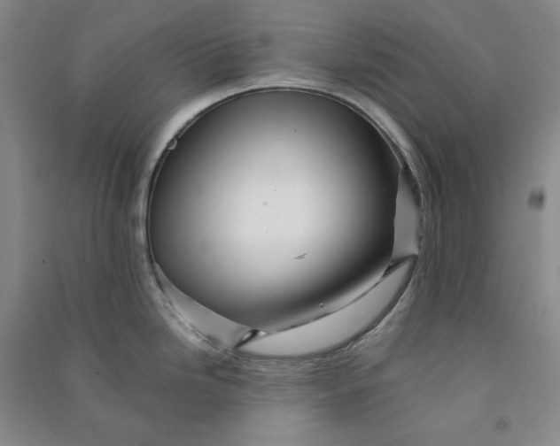 X0000090881246200708171639