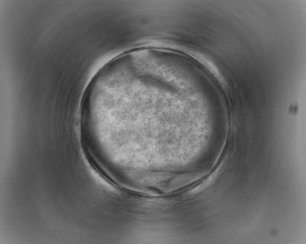 X0000090881247200708171639