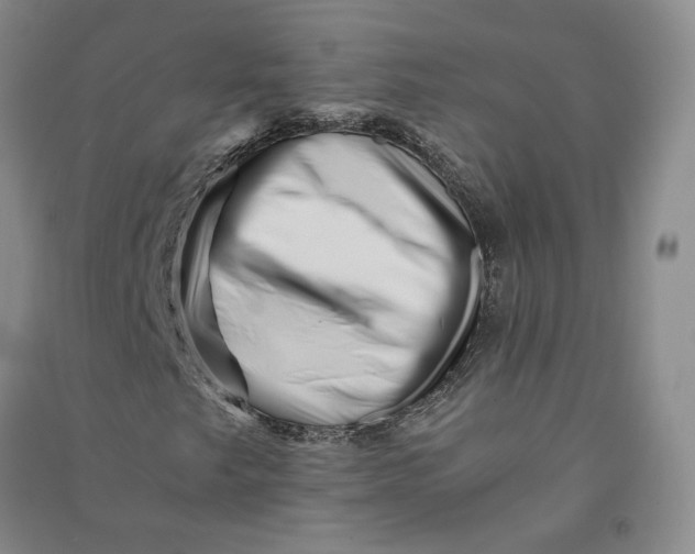 X0000090881249200708171639