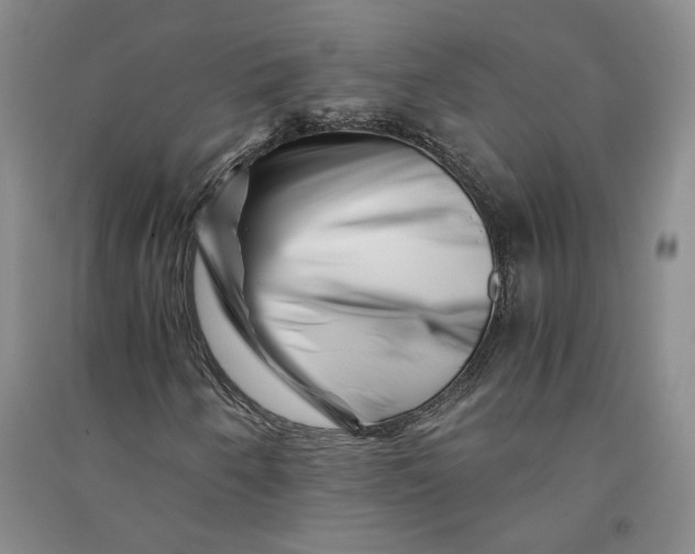 X0000090881250200708171639