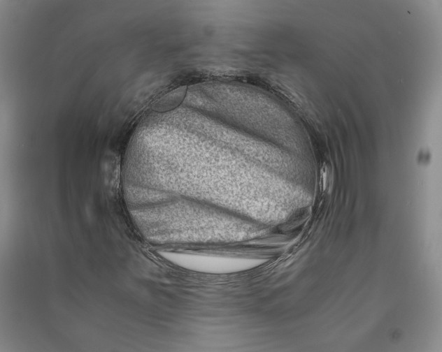 X0000090881251200708171639