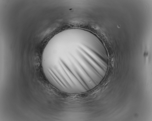 X0000090881253200708171639