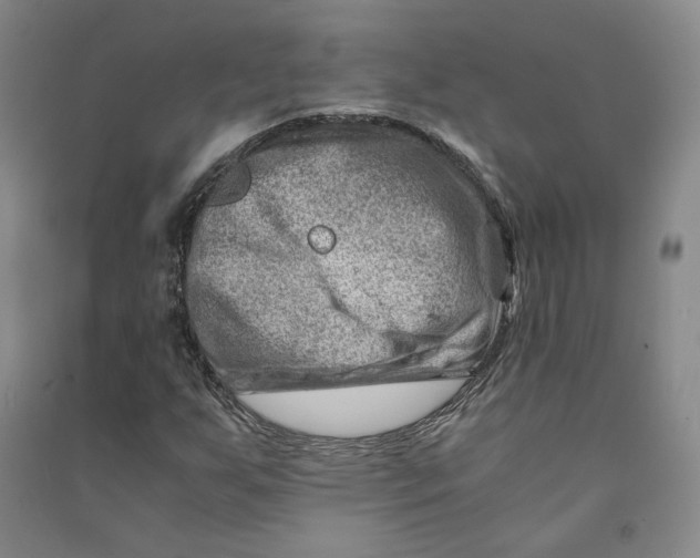 X0000090881255200708171639