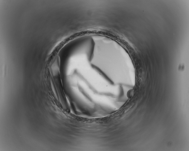 X0000090881256200708171639
