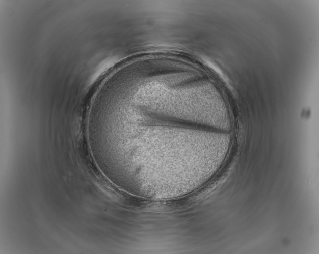 X0000090881259200708171639