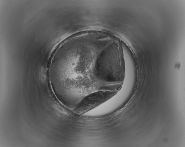 X0000090881260200708171638