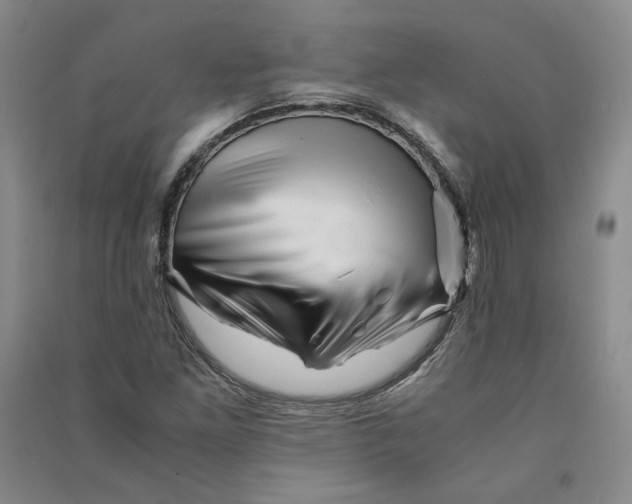X0000090881261200708171638