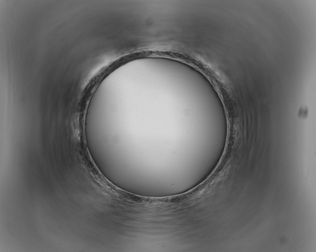 X0000090881262200708171638